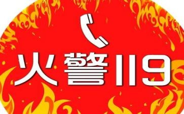 119作文演讲稿8篇