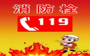 119读后感400字参考6篇