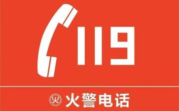 119讲话演讲稿小学优秀7篇