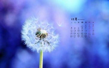 12月度工作总结参考6篇