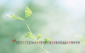 12月度工作总结8篇