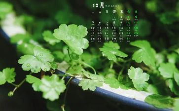12月度工作总结最新8篇