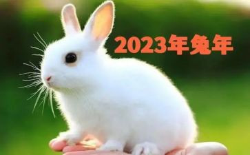 2023年总务主任个人述职报告5篇