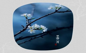 2月活动方案通用8篇