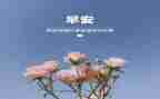 2024年1月到3月工作总结6篇