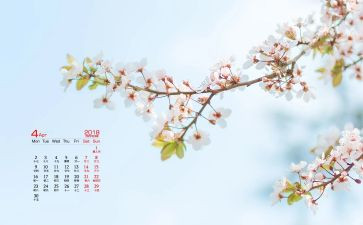 4月的工作计划优质7篇