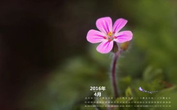 4月份的工作计划推荐6篇