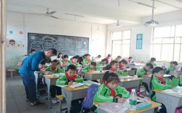 单双数教案6篇