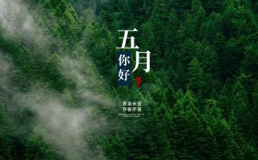 5月29活动总结精选6篇