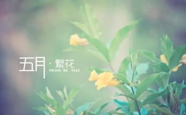 2024年5月工作计划参考8篇