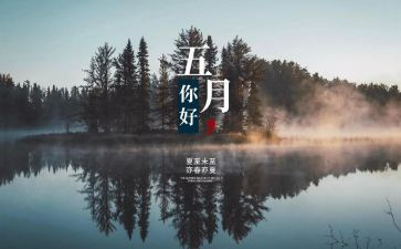 5月29活动总结参考8篇