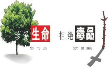 626禁毒宣传活动方案7篇