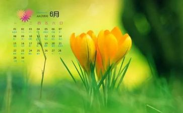 6月演讲稿7篇