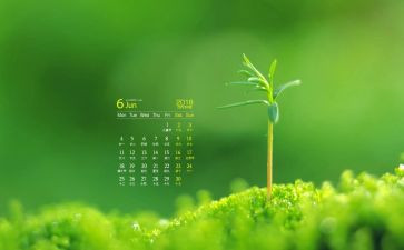 小小班6月份工作总结6篇