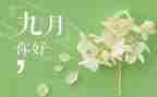 9月份工作总结范文6篇