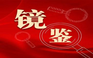 案促改心得体会推荐5篇