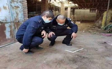 局档案管理自查报告参考8篇