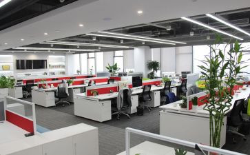 办公室文员个人总结6篇