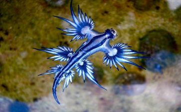 高中生物教学心得体会8篇
