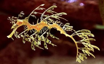 生物教研员工作计划通用6篇