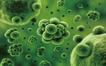 生物的心得体会通用8篇