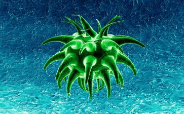 生物培训心得体会优秀7篇