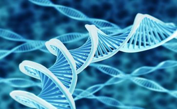 高中生物述职报告7篇