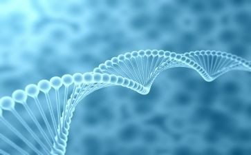 生物工作总结范文7篇