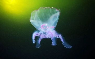 生物学期工作总结优质6篇