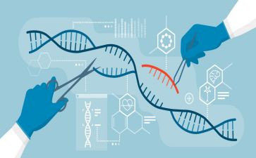 生物实验心得体会500精选8篇