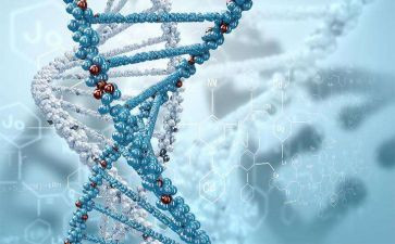 生物的利与弊演讲稿5篇