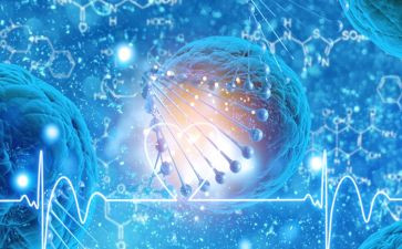 生物教师述职报告范文6篇