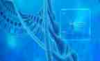 高中生物述职报告5篇