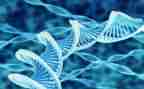 中学生物述职报告7篇