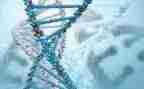 生物的利与弊演讲稿5篇