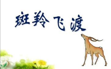 斑羚飞渡的教案6篇