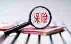 2024保险公司工作总结参考6篇