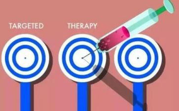 靶向培训总结报告精选7篇