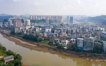 动物尾巴中班科学教案5篇