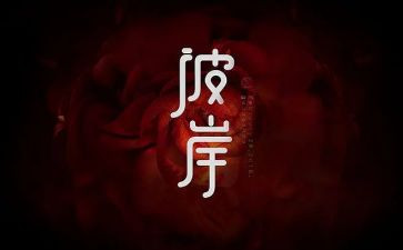 彼岸书读后感8篇