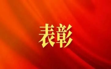65表彰个人先进事迹材料8篇