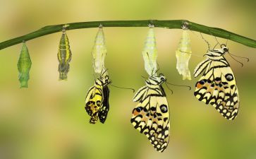 我不一样的我演讲稿7篇