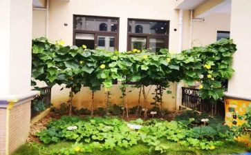 蔬菜贵涨调查报告7篇