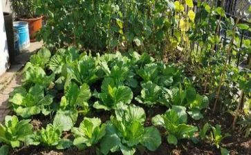 湘菜工作报告总结范文模板8篇