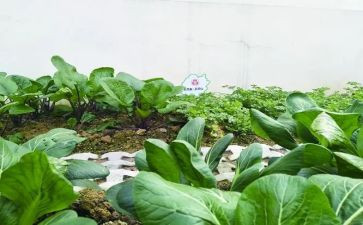 湘菜工作报告总结范文6篇