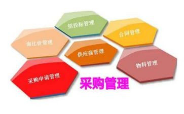 采购个人年终述职报告6篇