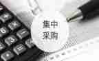 2024年采购个人总结工作总结参考6篇