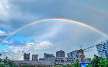 彩虹鸽的读后感8篇