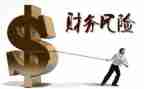 财务官述职报告通用8篇