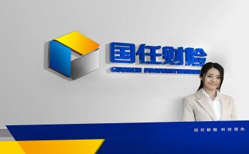 财险个人总结参考6篇
